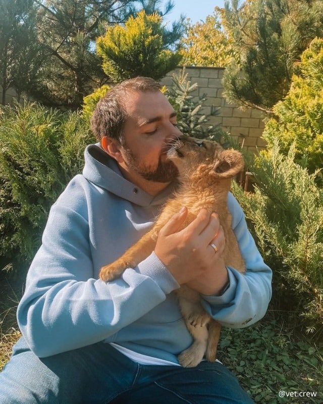 Четырех спасенных из Украины львят перевезли в заповедник США: невероятные фото малышей